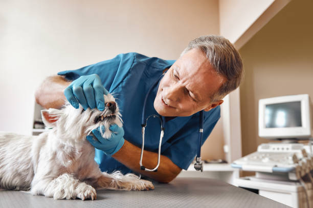 Best Emergency Dental Care for Trauma or Injury in Wilburton, OK